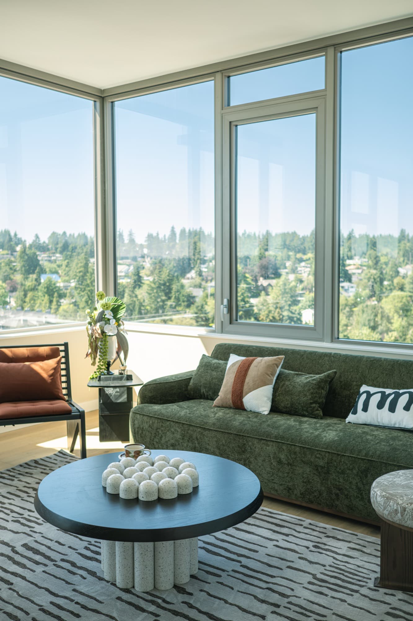 Furnished residential interior