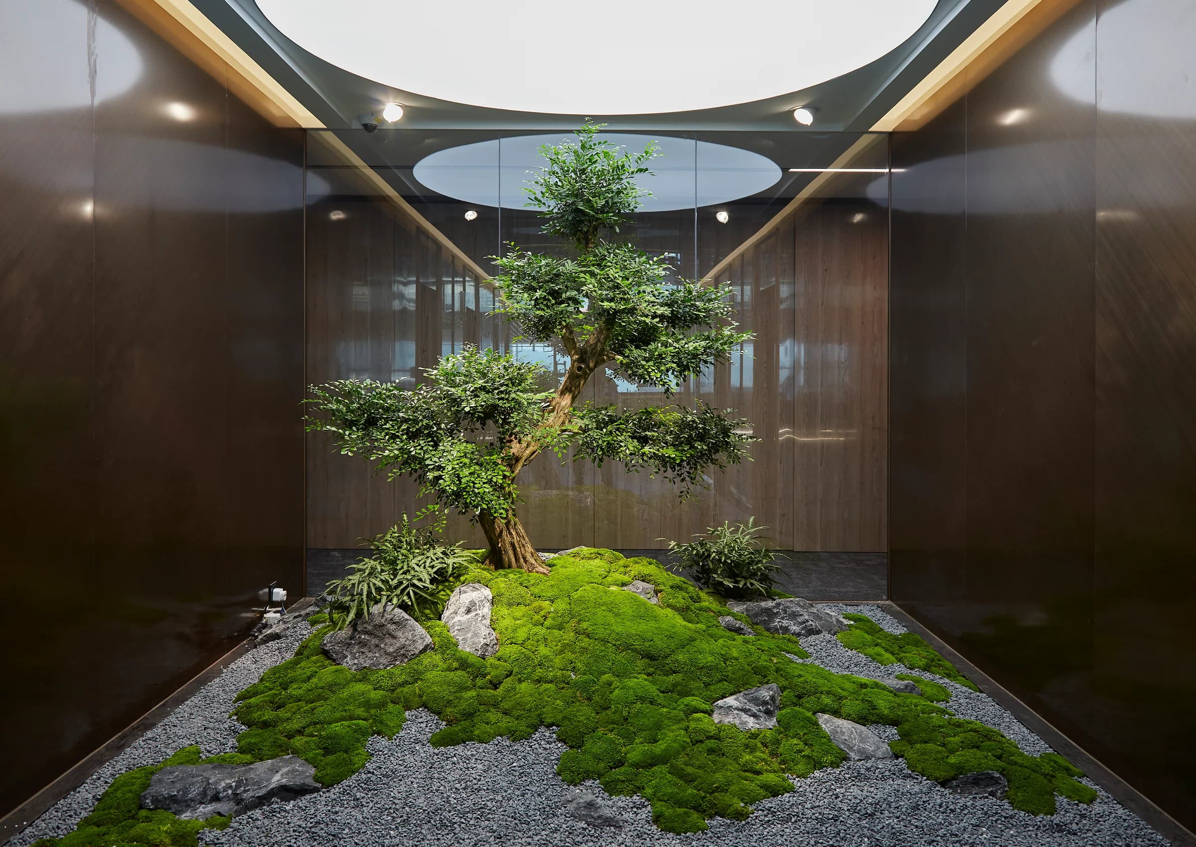 Sculptural indoor tree anchoring the entrance seating area